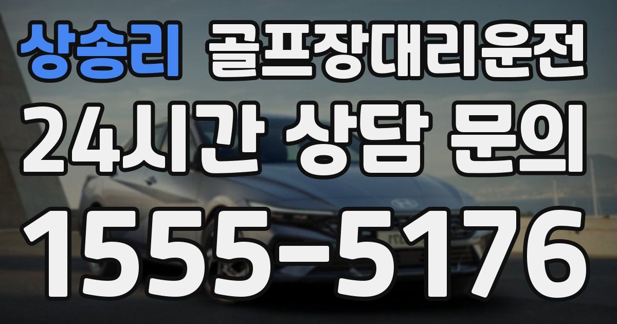골프장대리운전 서비스