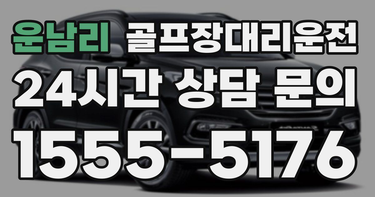 골프장대리운전 서비스