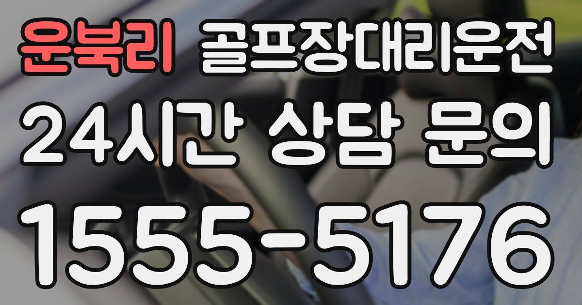 골프장대리운전 서비스