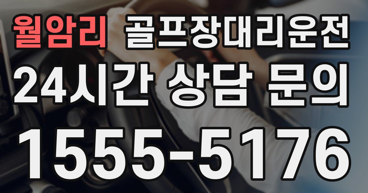 골프장대리운전 서비스