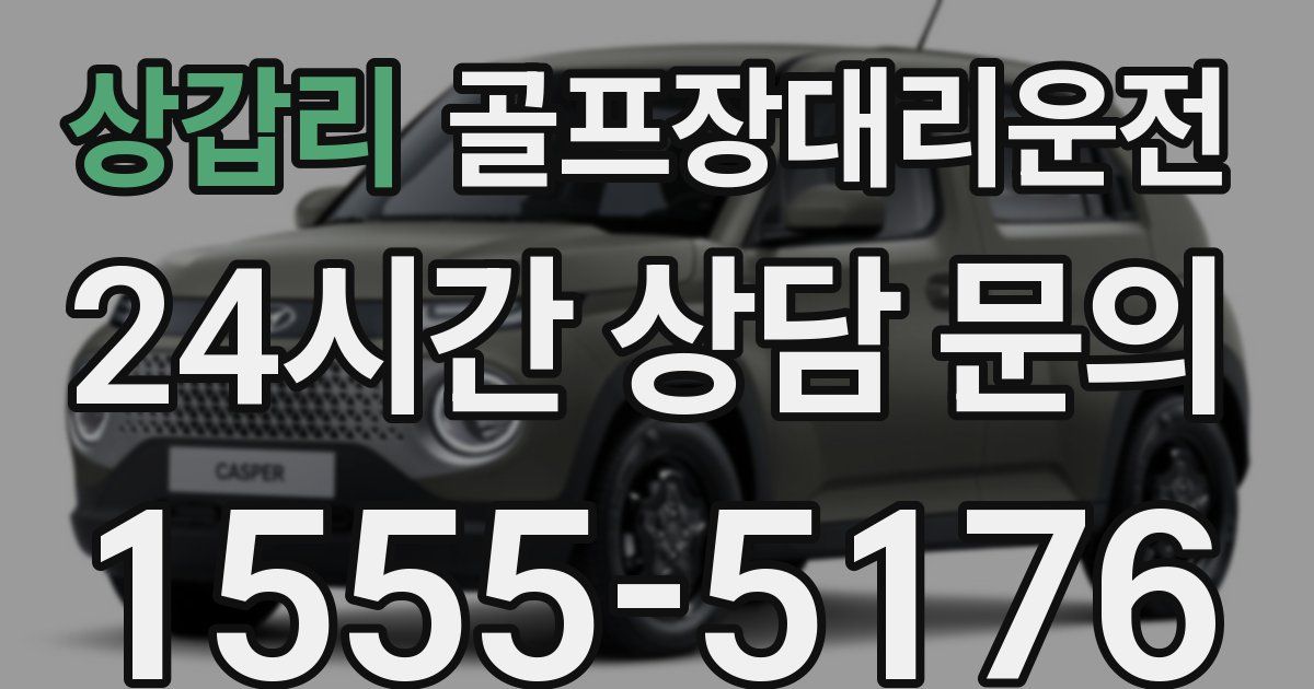 골프장대리운전 서비스