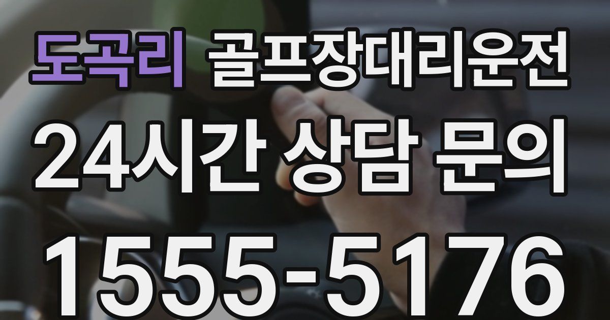 골프장대리운전 서비스