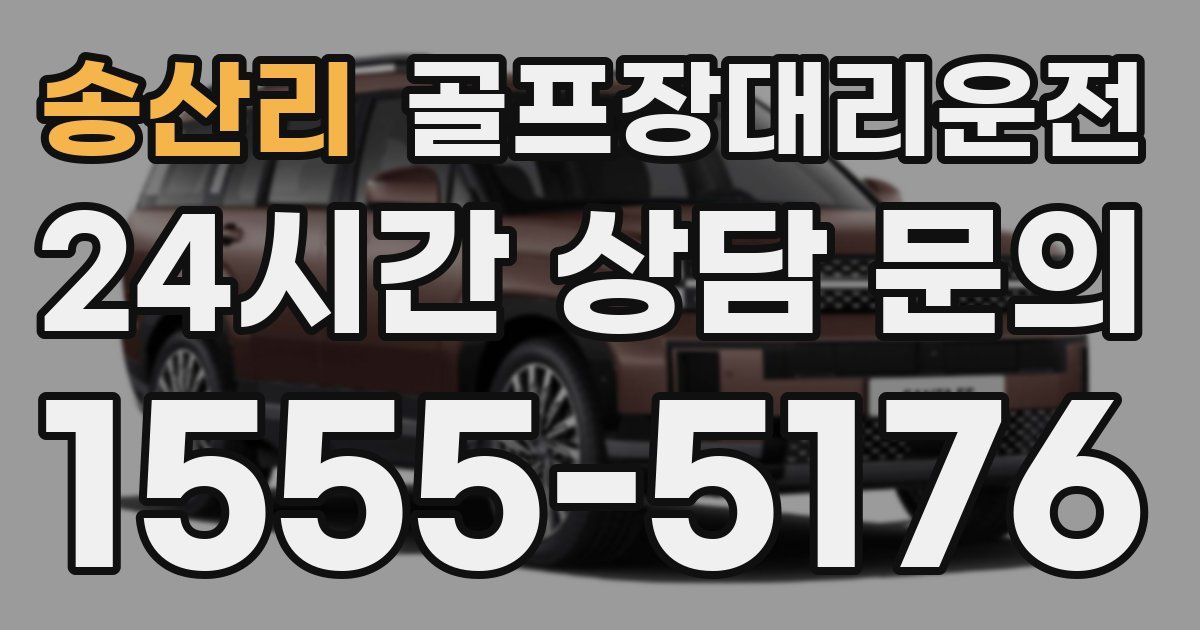 골프장대리운전 서비스