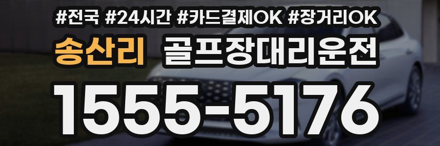 송산리 골프장대리운전