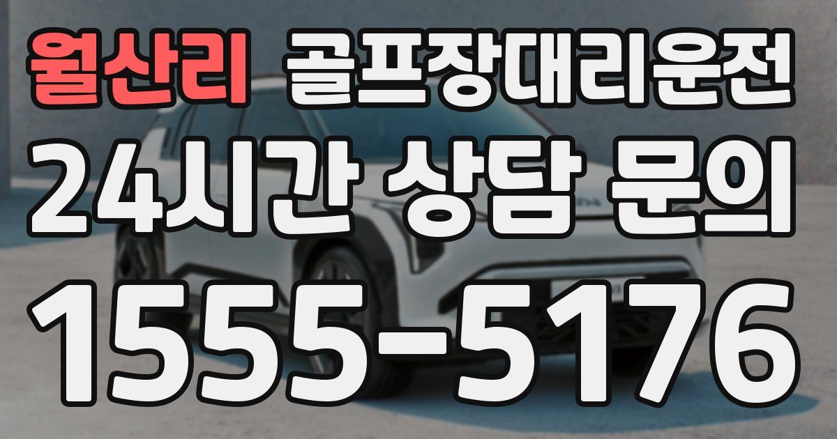 골프장대리운전 서비스