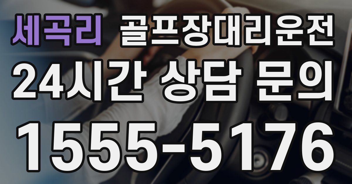 골프장대리운전 서비스