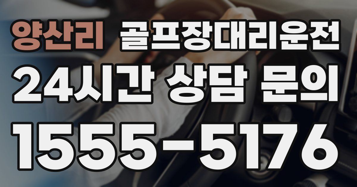 골프장대리운전 서비스