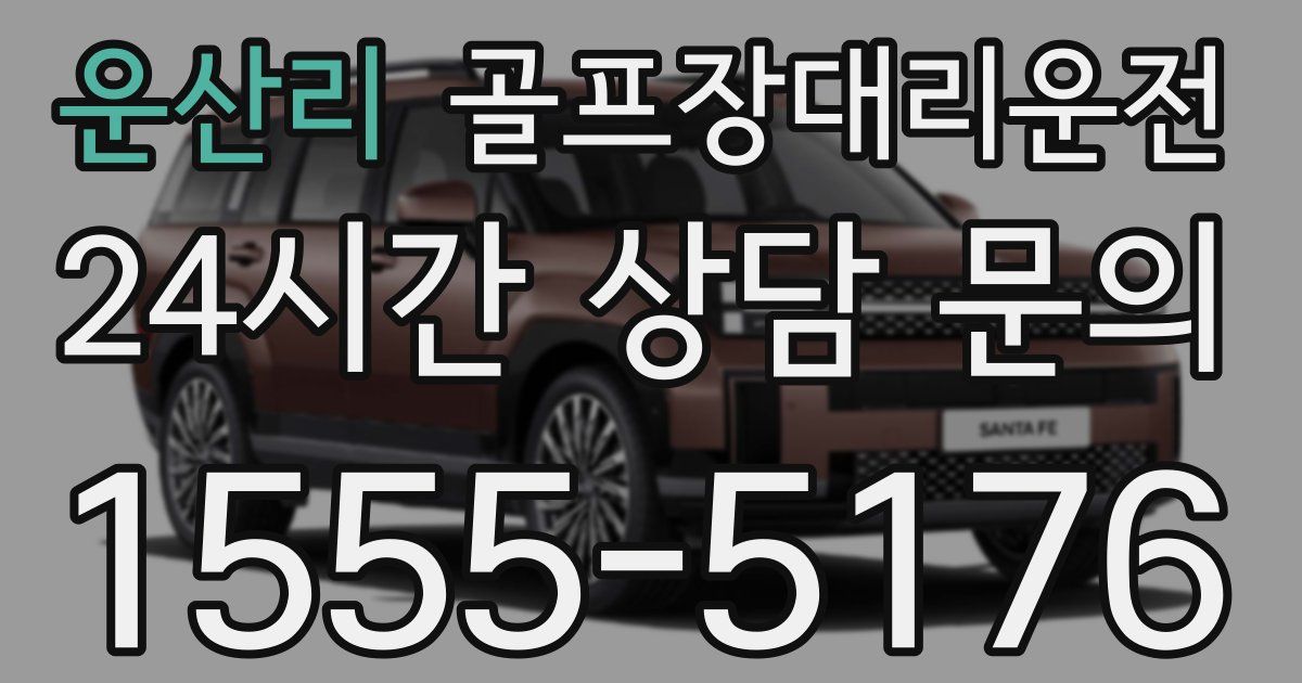 골프장대리운전 서비스