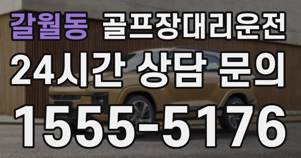 골프장대리운전 서비스