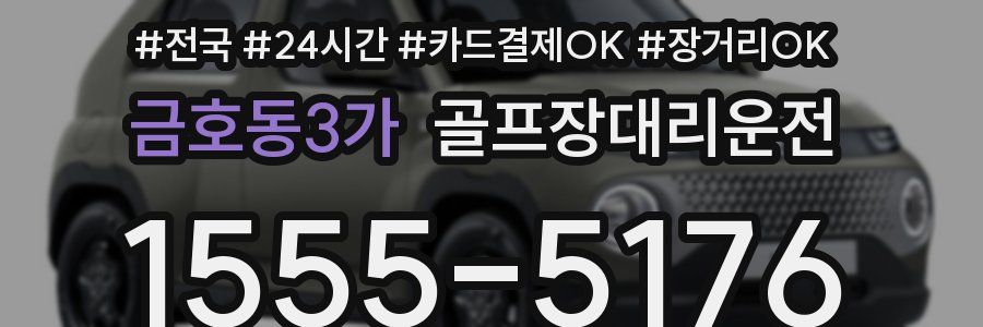 금호동3가 골프장대리운전