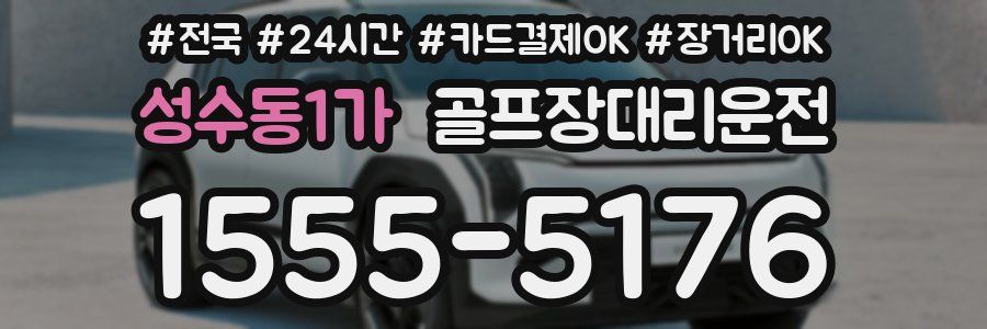 성수동1가 골프장대리운전