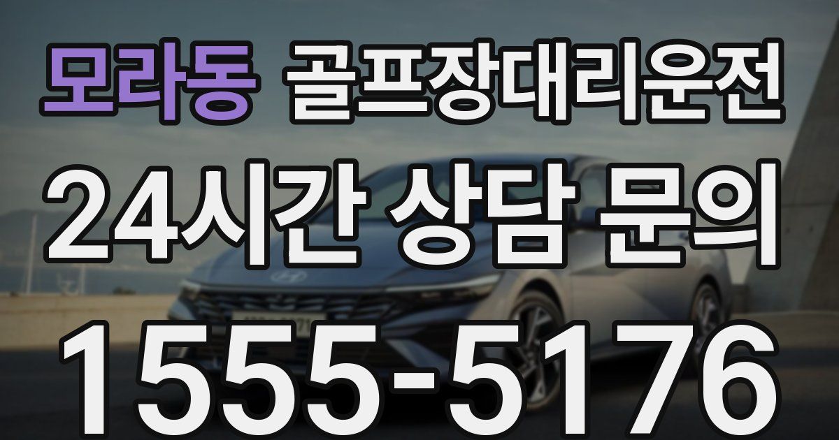 골프장대리운전 서비스