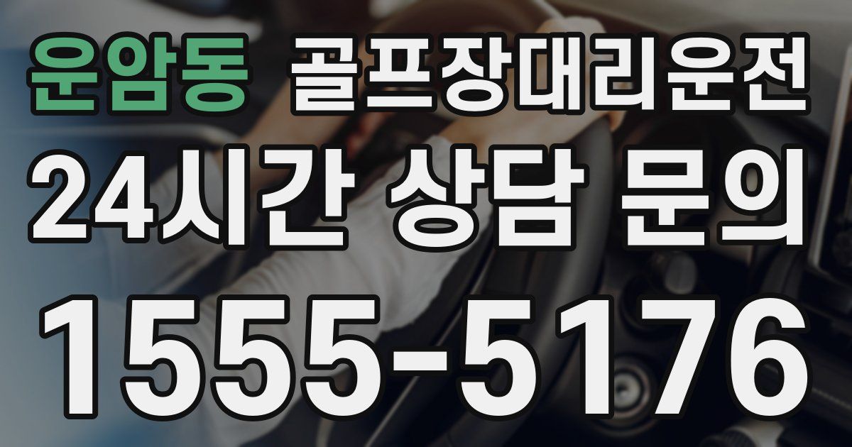 골프장대리운전 서비스
