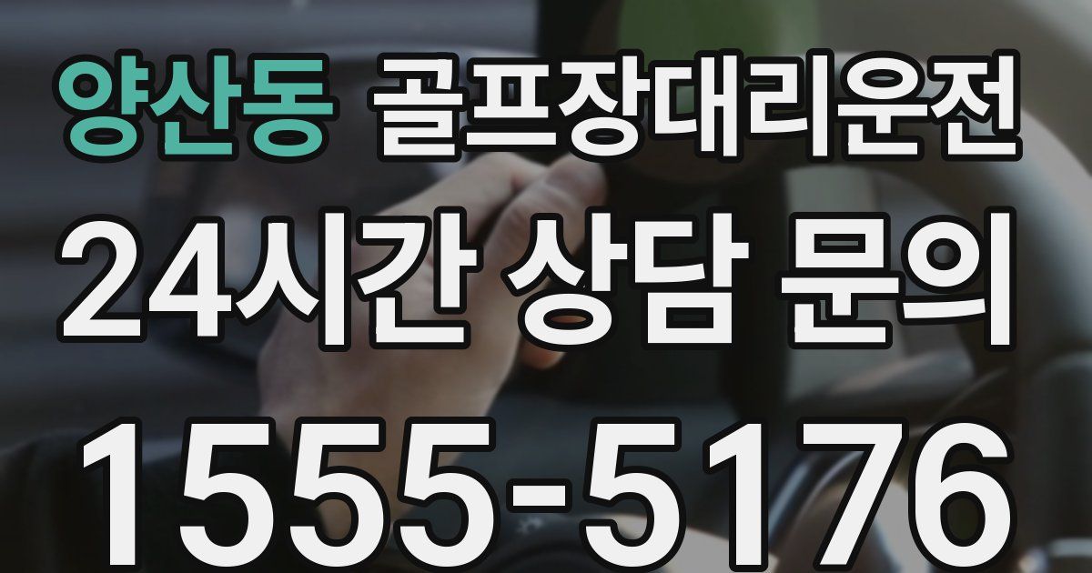 골프장대리운전 서비스