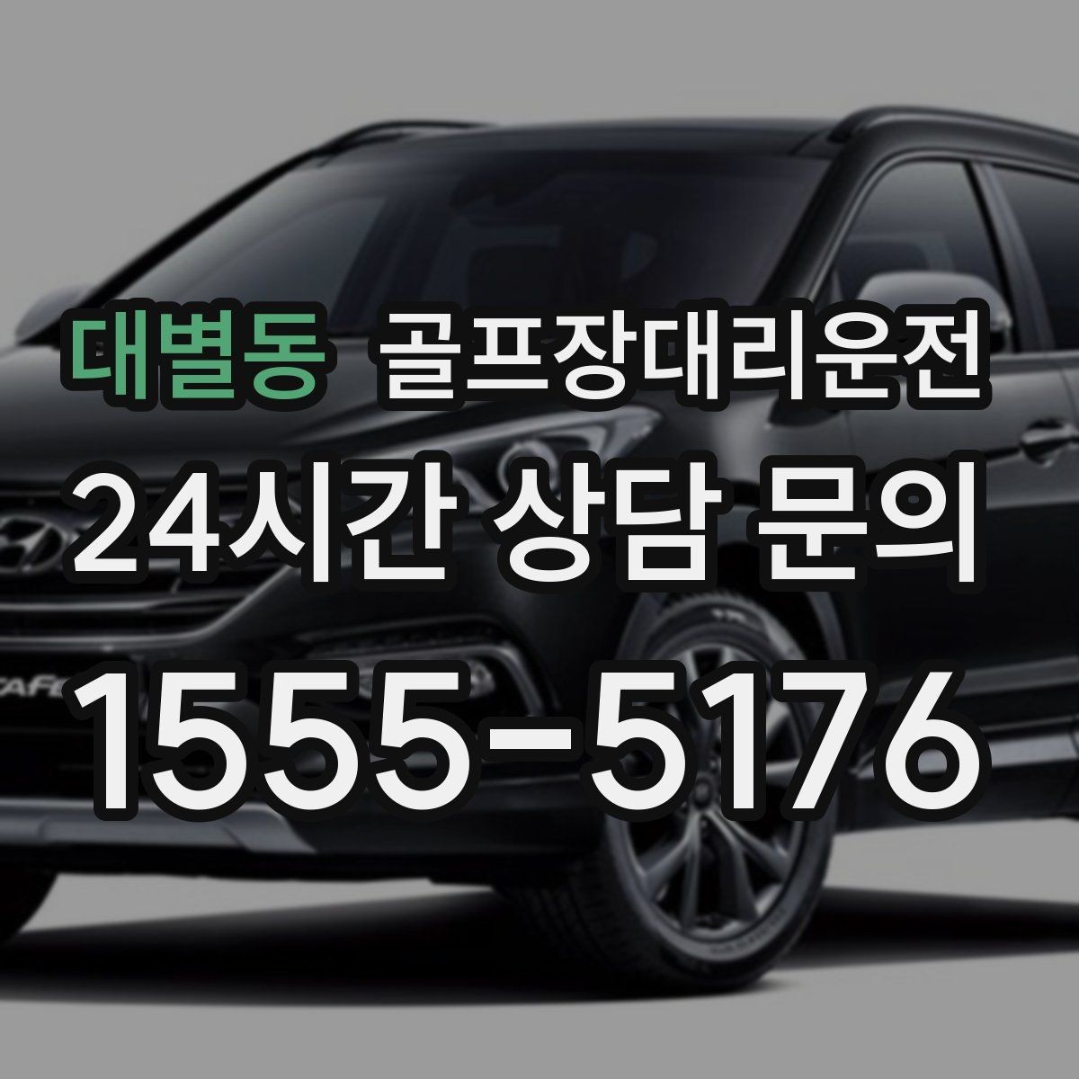 대별동 골프장대리운전 코스 주차 타워 진입 가능 여부 점검