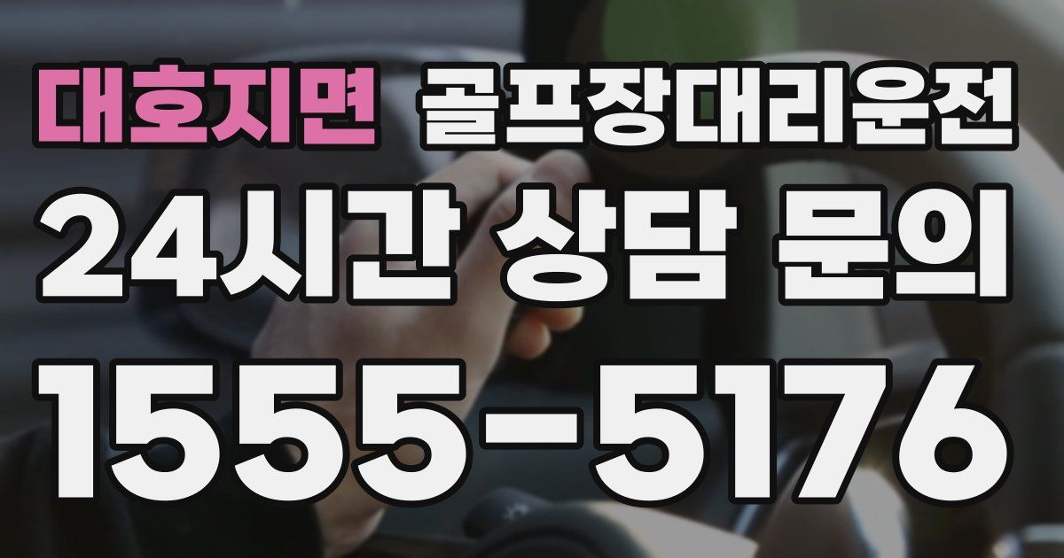 골프장대리운전 서비스