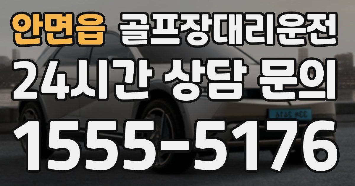 골프장대리운전 서비스