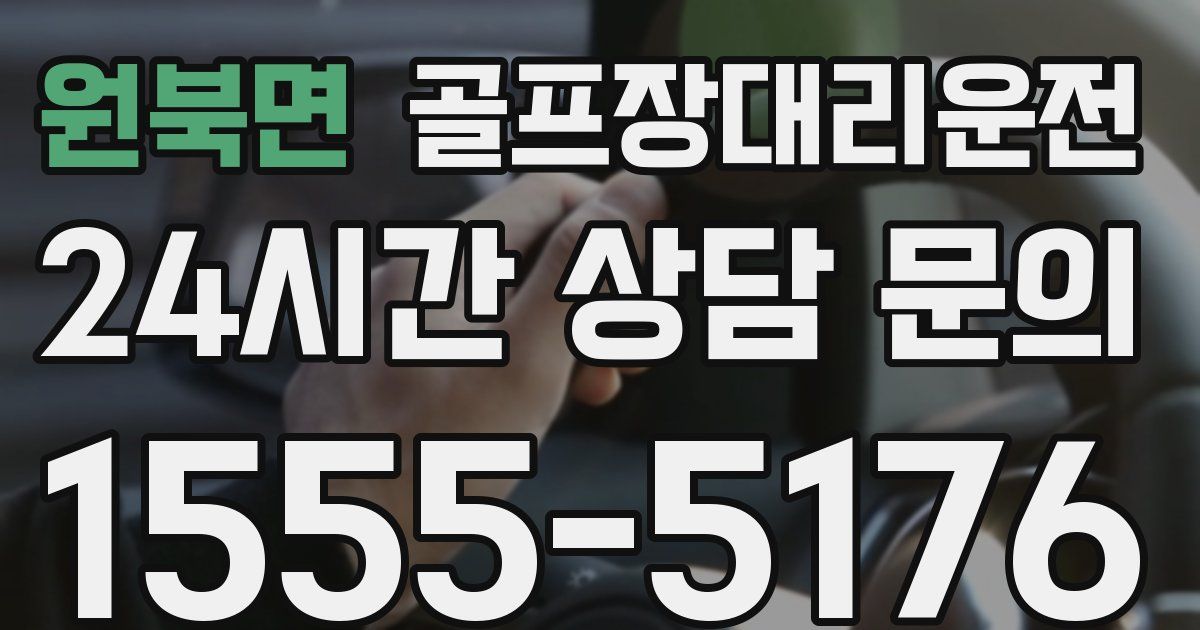골프장대리운전 서비스