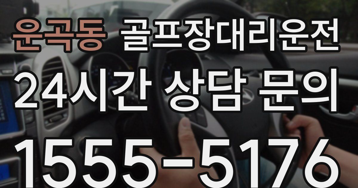 골프장대리운전 서비스