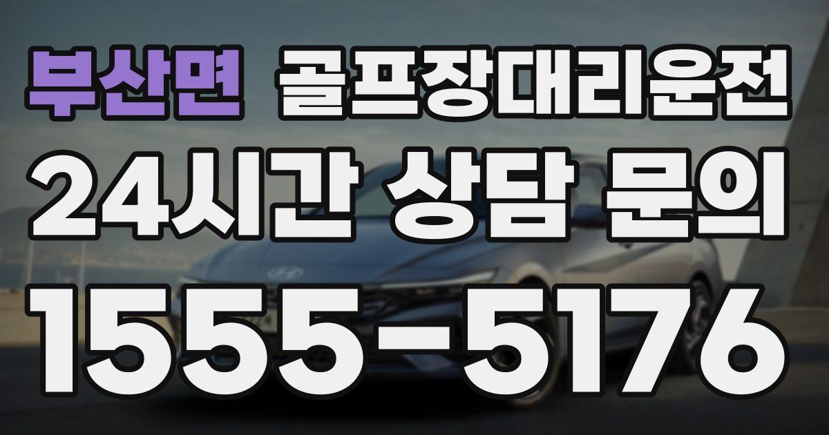 골프장대리운전 서비스