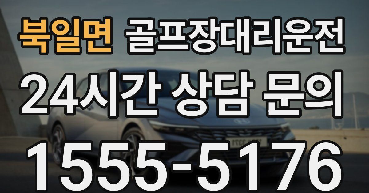 골프장대리운전 서비스