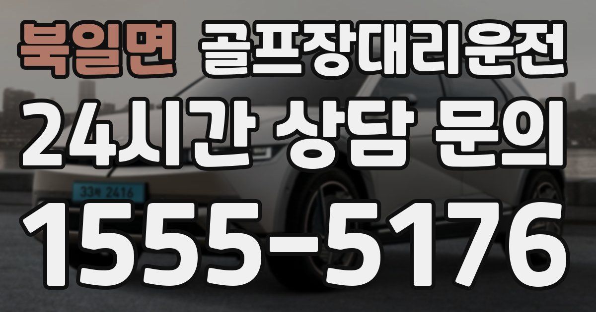 골프장대리운전 서비스