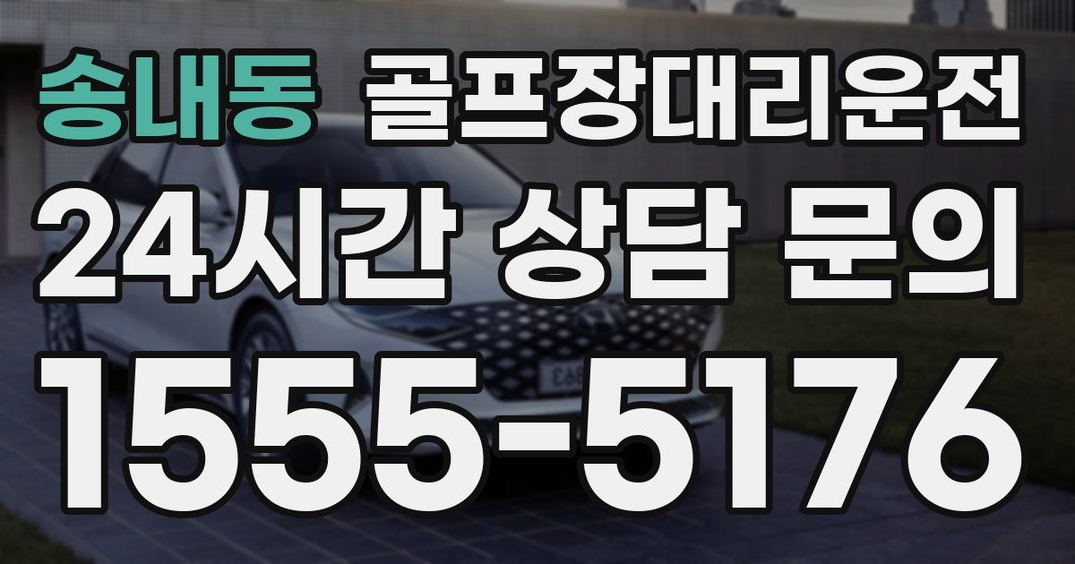 골프장대리운전 서비스