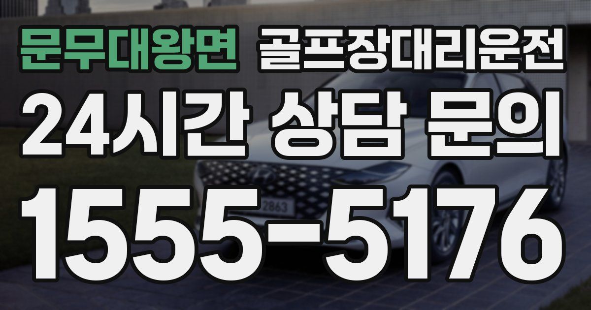 골프장대리운전 서비스