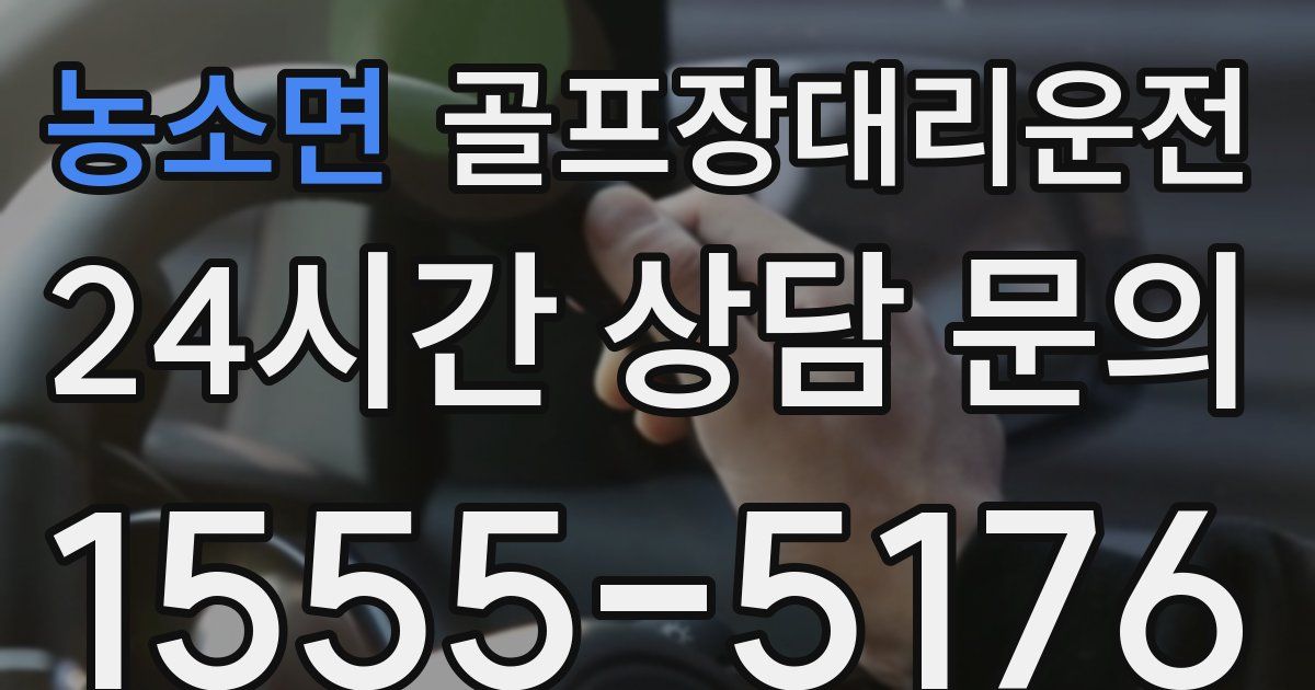 골프장대리운전 서비스