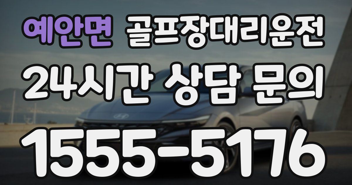 골프장대리운전 서비스