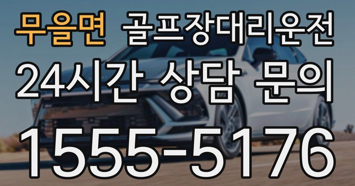 골프장대리운전 서비스