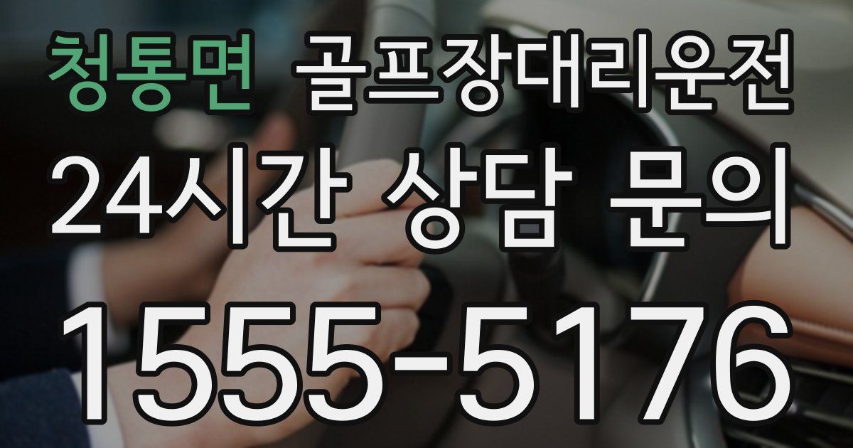 골프장대리운전 서비스