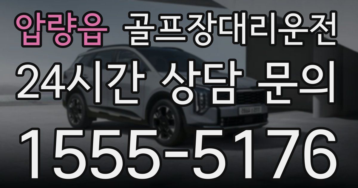 골프장대리운전 서비스
