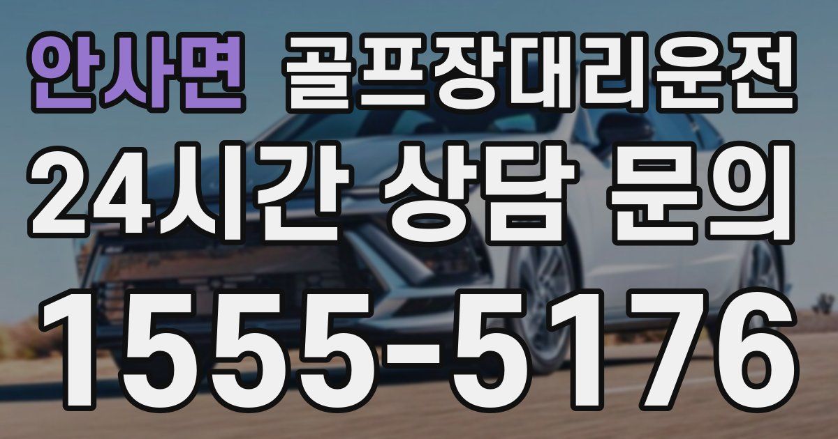 골프장대리운전 서비스