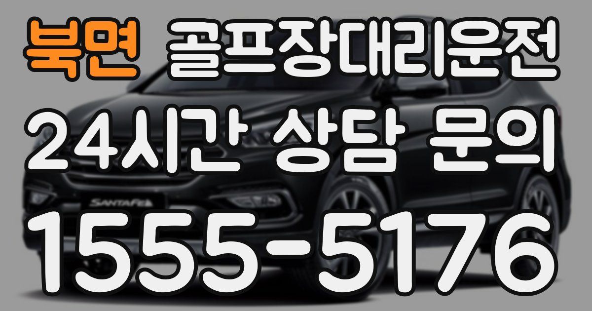 골프장대리운전 서비스