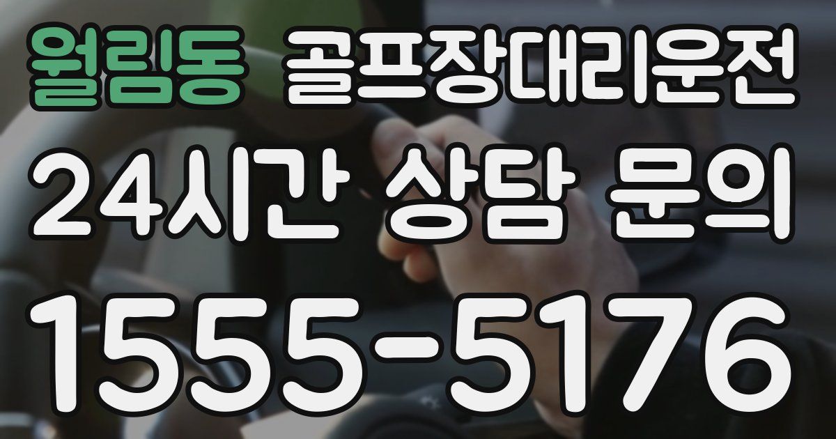 골프장대리운전 서비스