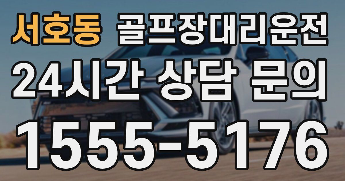 골프장대리운전 서비스