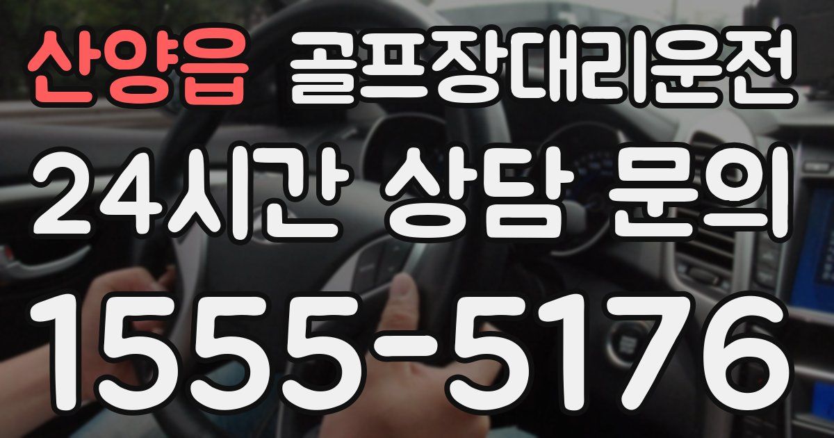 골프장대리운전 서비스