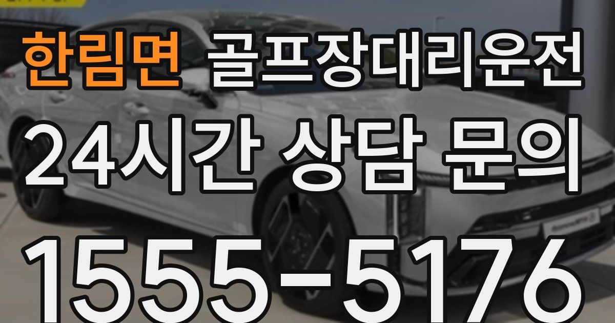 골프장대리운전 서비스