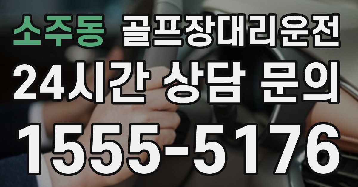 골프장대리운전 서비스