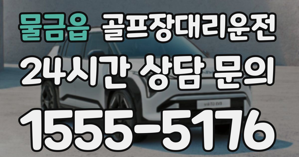 골프장대리운전 서비스