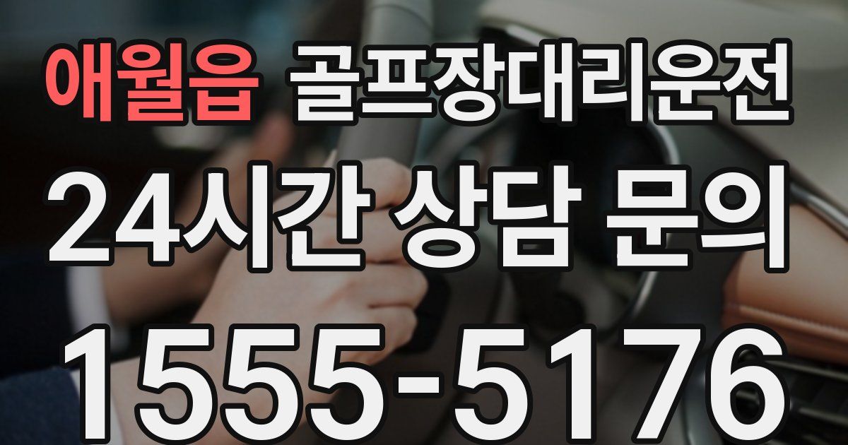 골프장대리운전 서비스