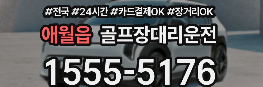 애월읍 골프장대리운전