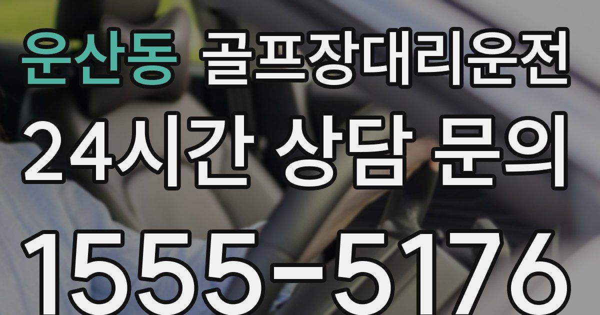 골프장대리운전 서비스