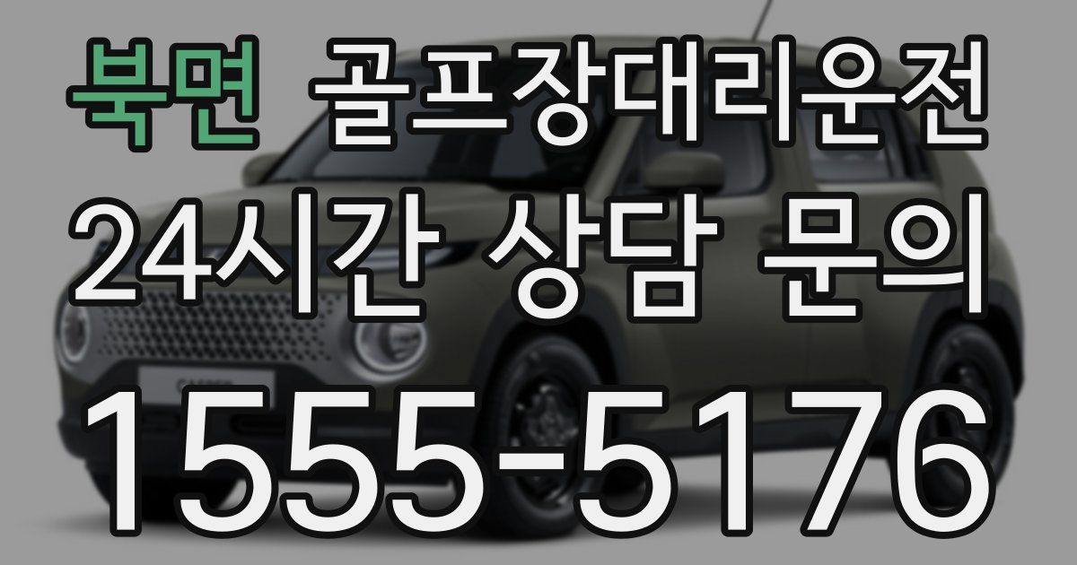 골프장대리운전 서비스