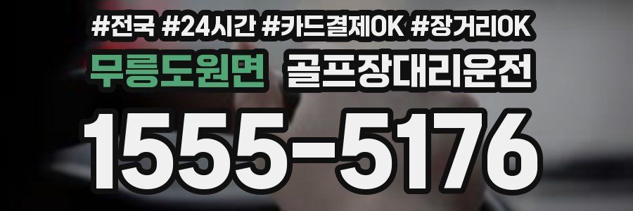 무릉도원면 골프장대리운전