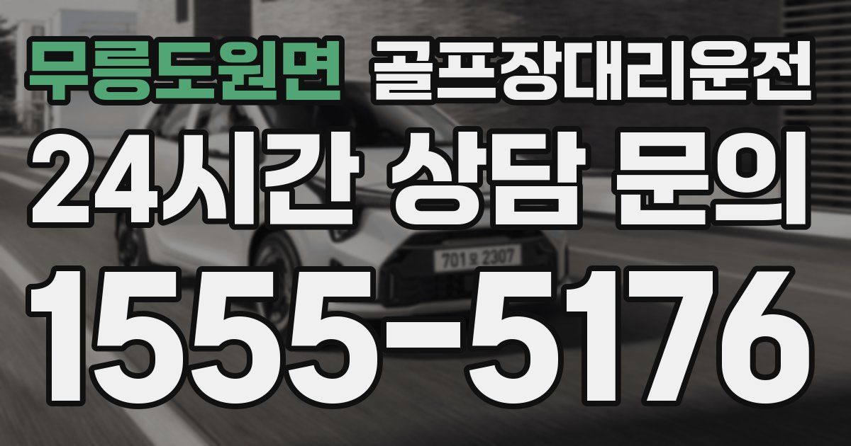 골프장대리운전 서비스