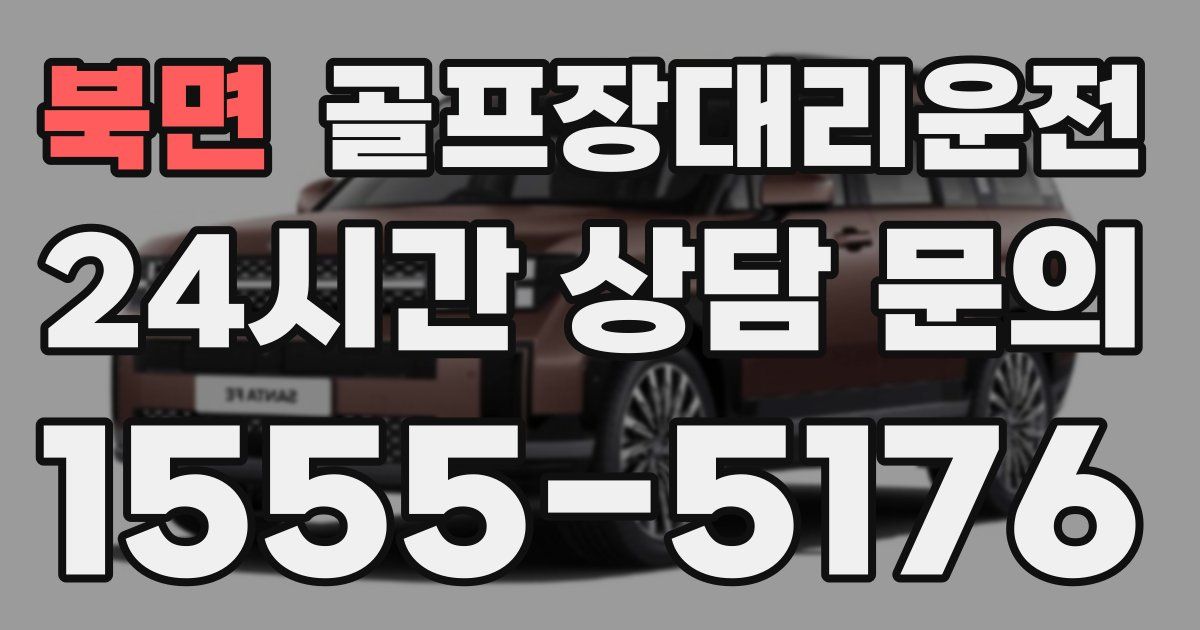골프장대리운전 서비스