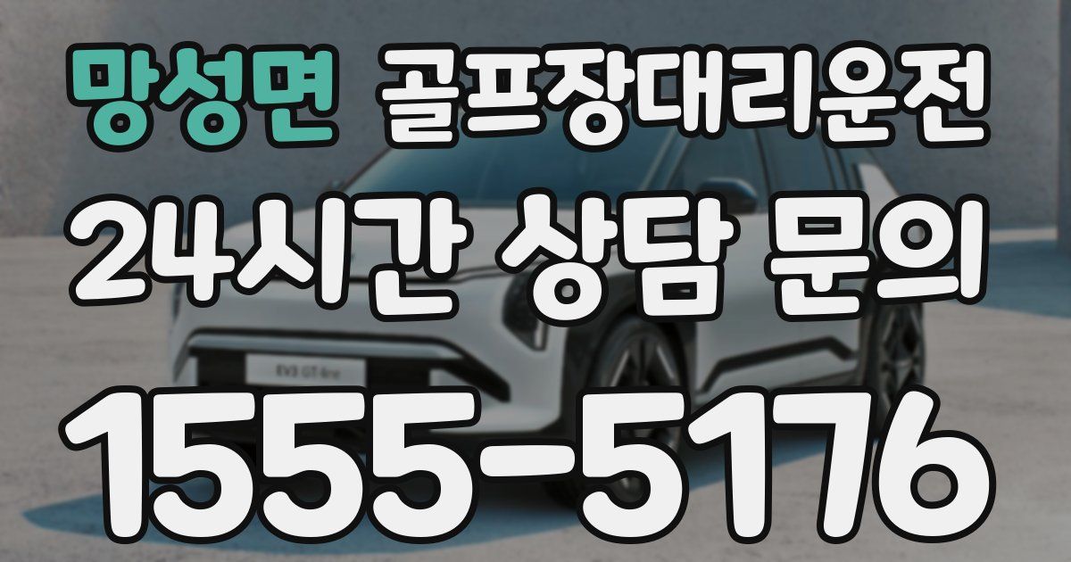 골프장대리운전 서비스