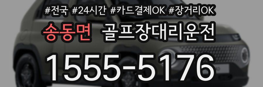 송동면 골프장대리운전